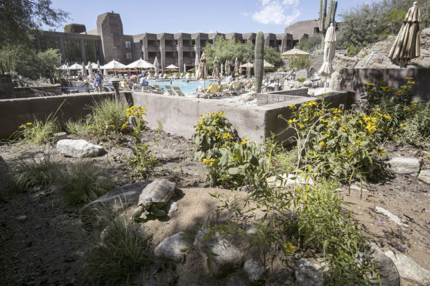 Butterfly exhibit at Ventana Canyon Resort